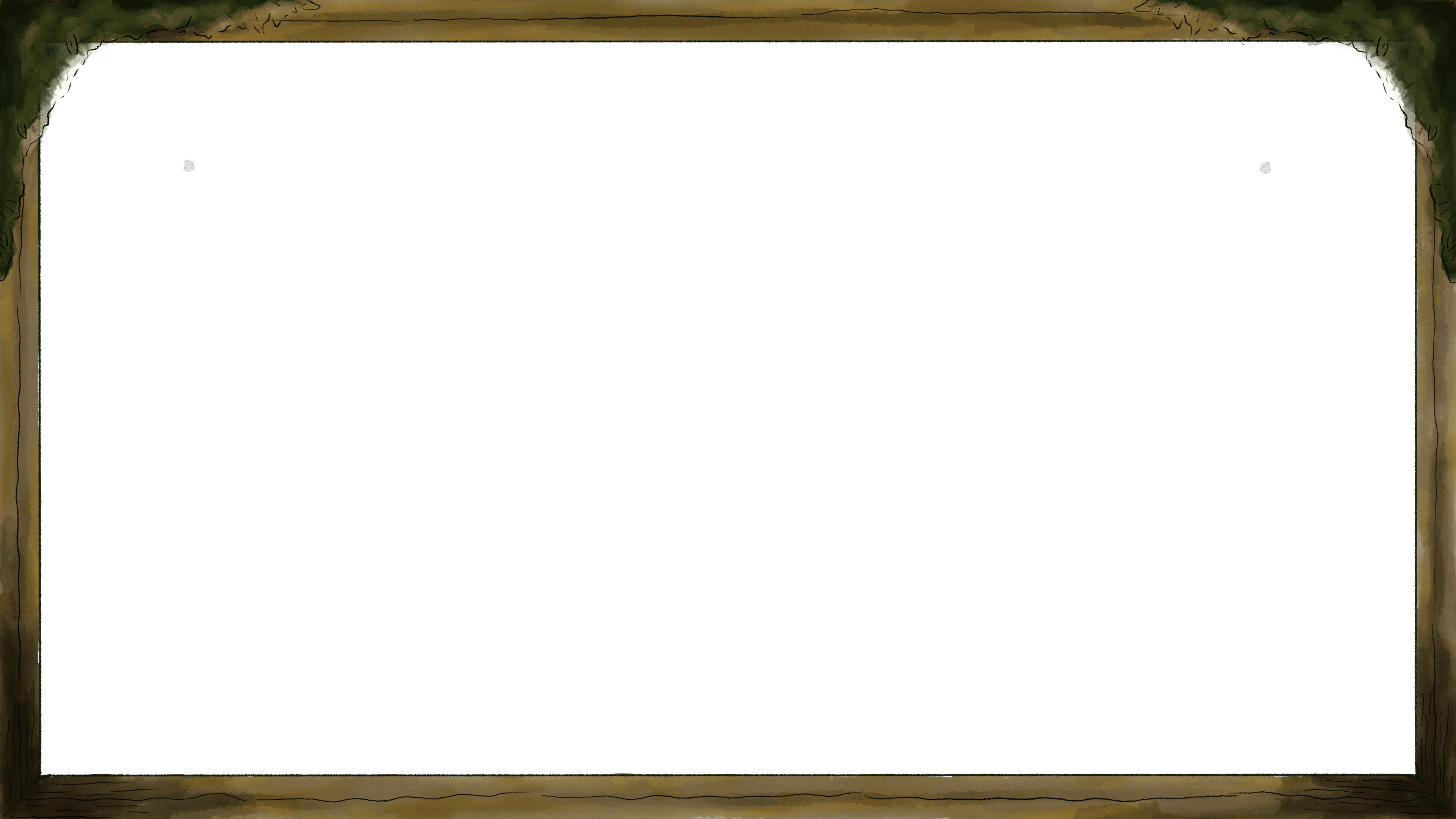 Video Frame